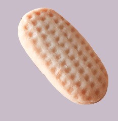 PLAIN BISCUIT 500 GM (Inc 17% GST)