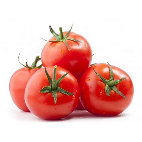 Tomato A+